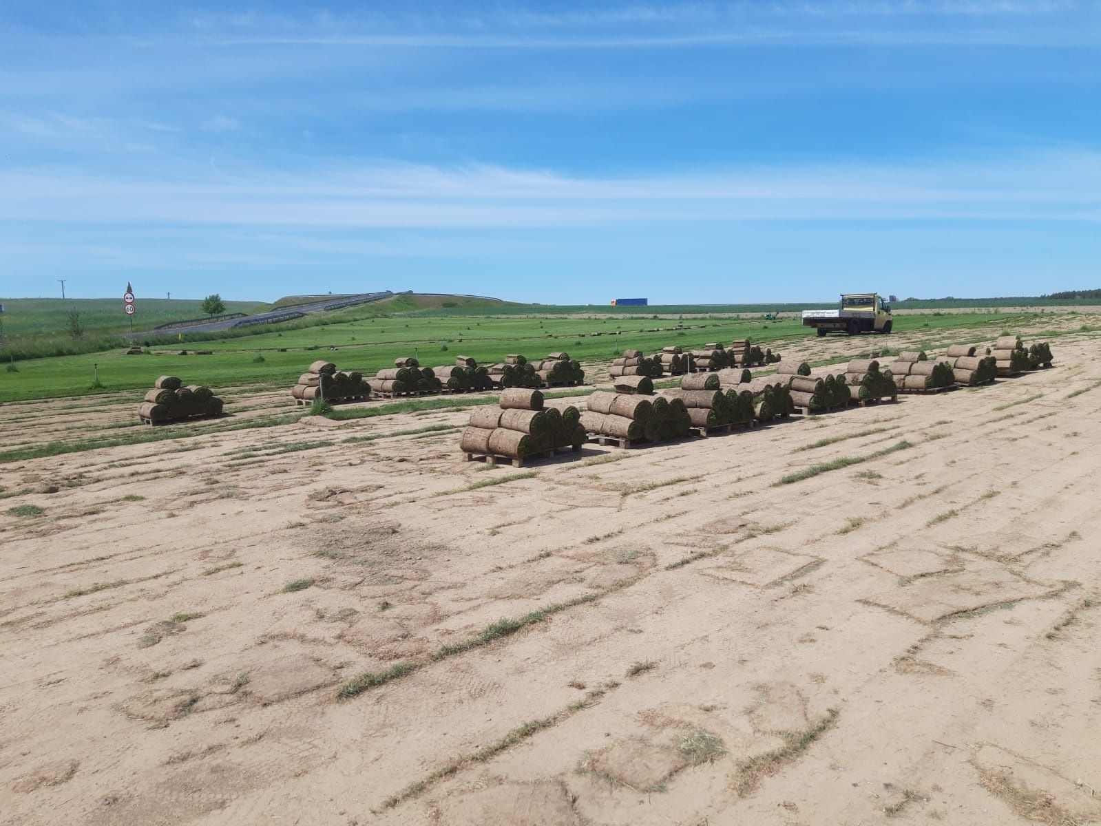 Trawa z rolki - PRODUCENT - Transport - Plantacja Świebodzin