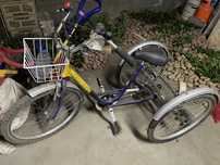 Triciclo para adultos