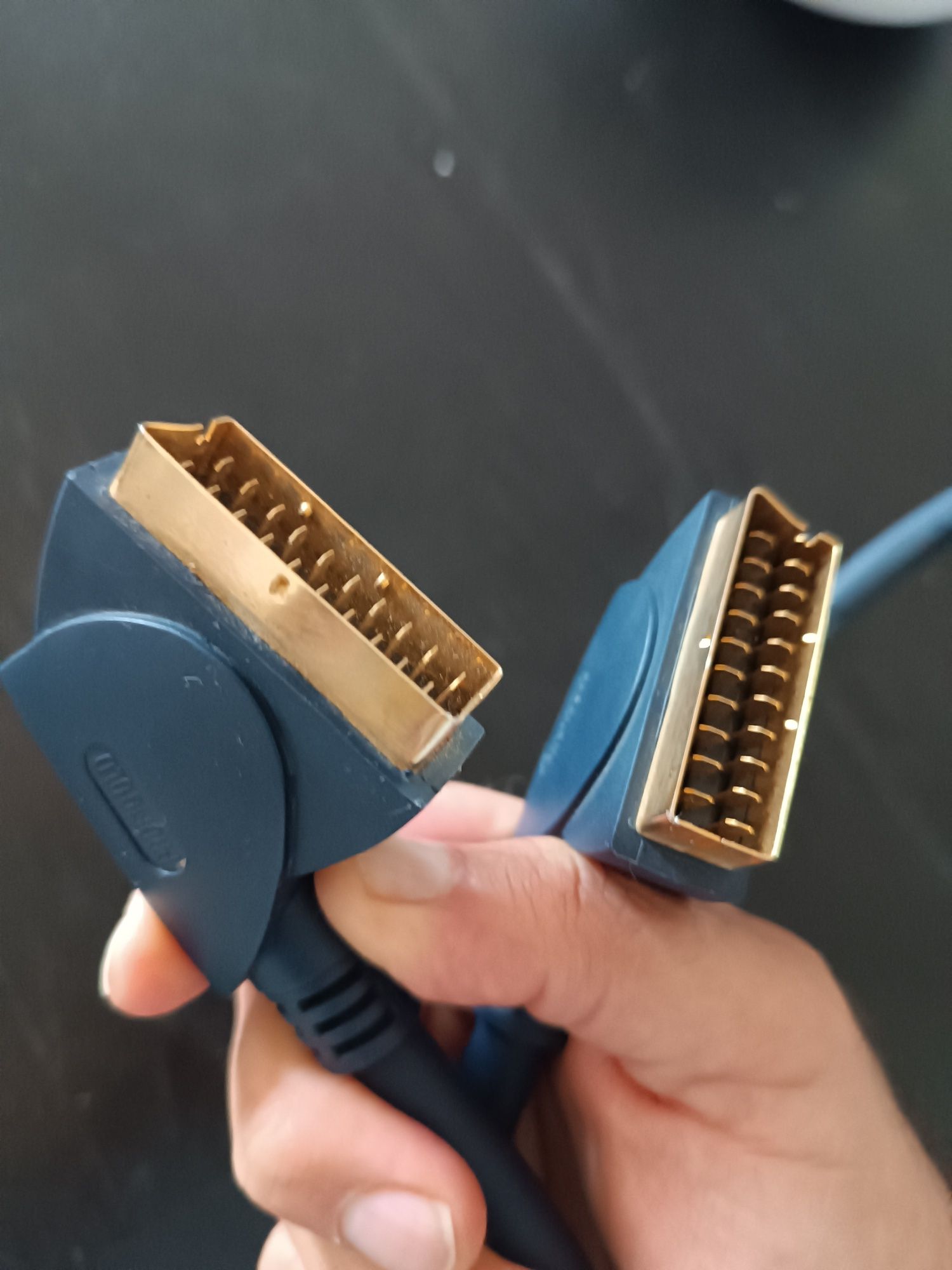 Cabo com ficha scart/scart ProfiGold