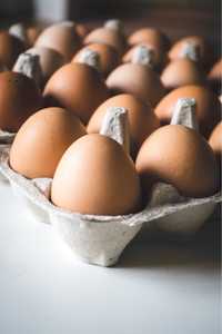 Продаж інкубаційних яєць