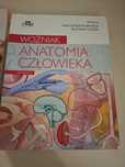 Anatomia człowieka woźniak