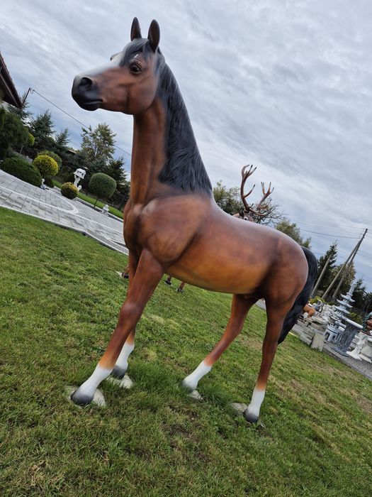 Dynie betonowe idealne na halloween