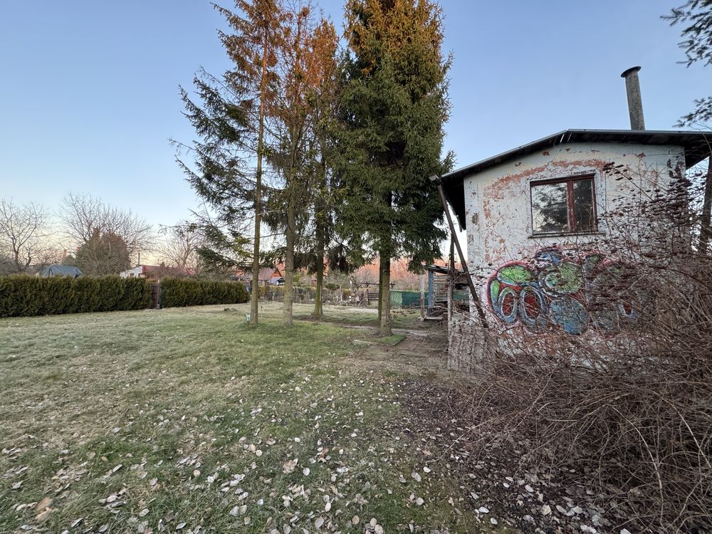Ogródek działkowy ROD Róża