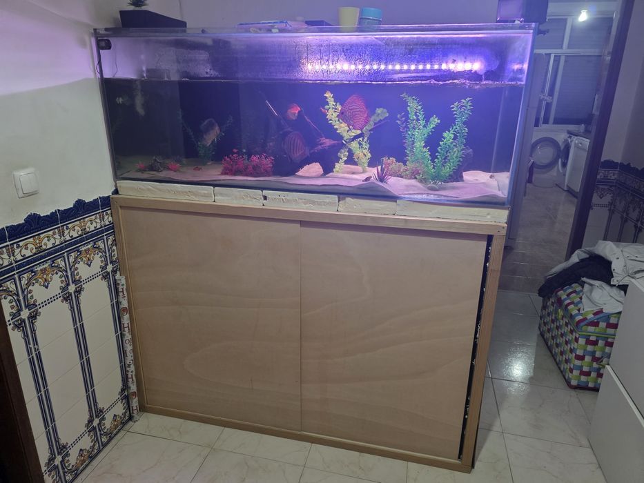 Aquario de 600 litros [fx6 menos de um ano]