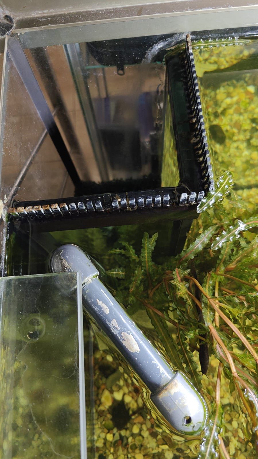 Akwarium Aqua Boro 1000l