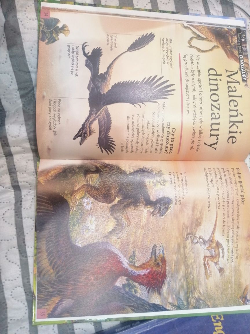 Книга детская Динозаври