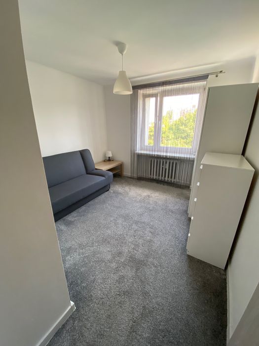 Pokój do wynajęcia