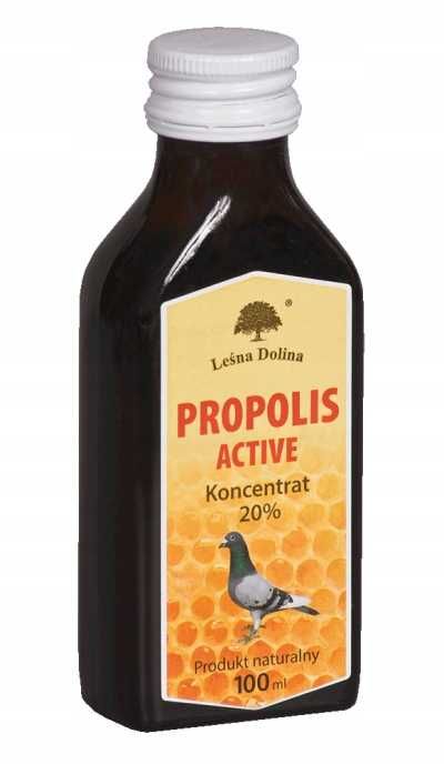 Leśna Dolina Propolis Active 100 ml