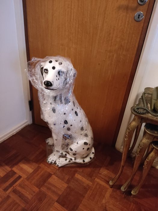 Cão dálmata com mais de 90 cm em loica
