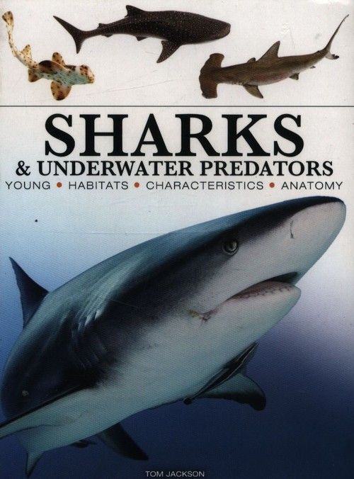 Sharks & Underwater Predators [Mini Edition] Jackson Tom