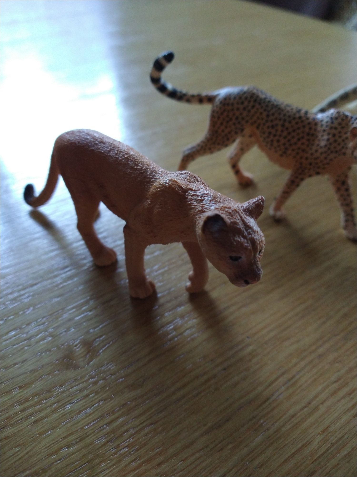 Schleich figurki kotów dzikich