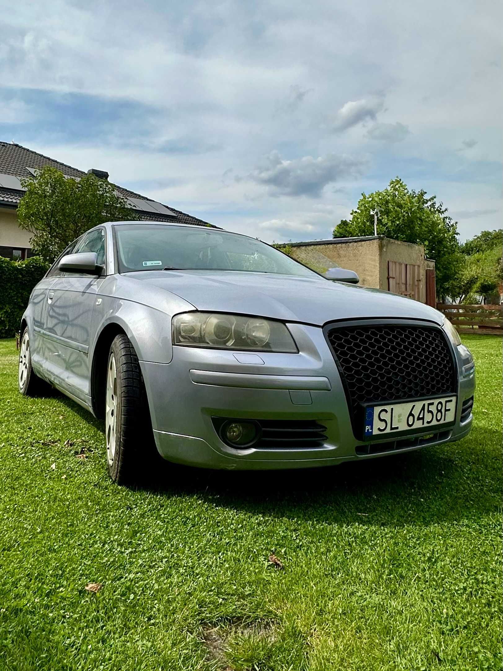 Audi A3 8P 2.0 TDI