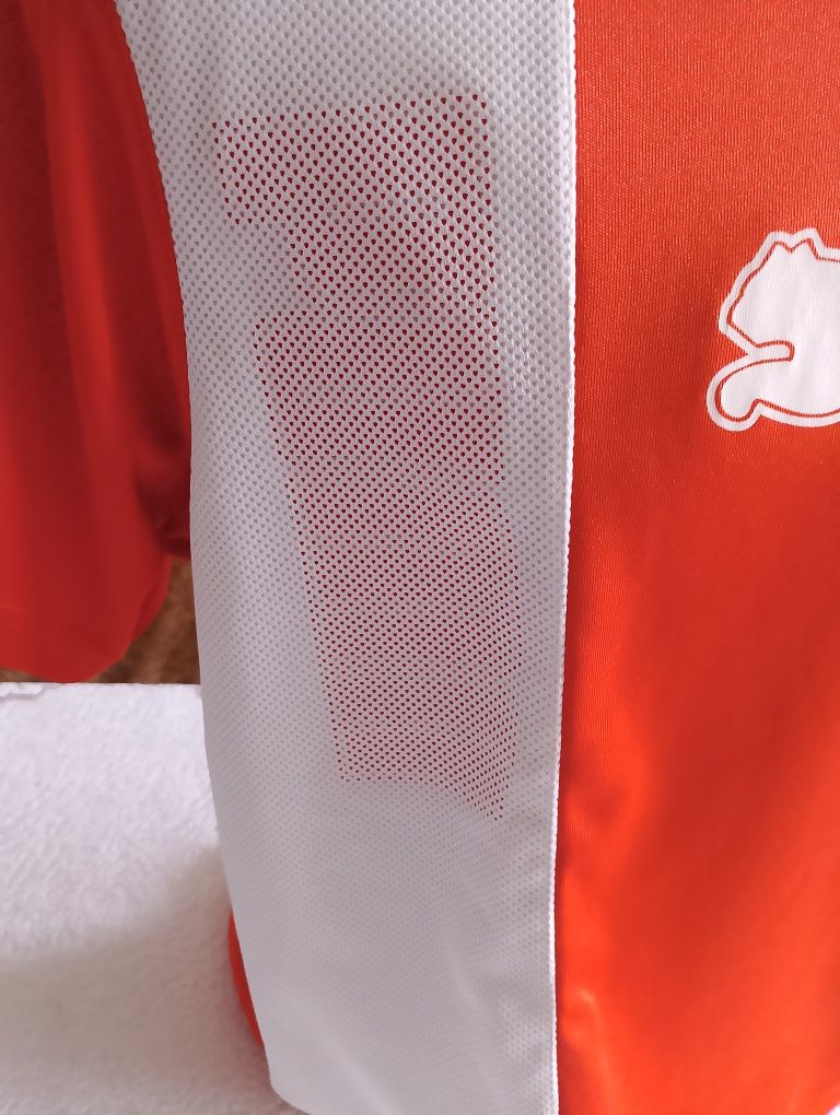 Koszulka męska Puma pomarańczowa rozmiar XL długość 72 szerokość 110