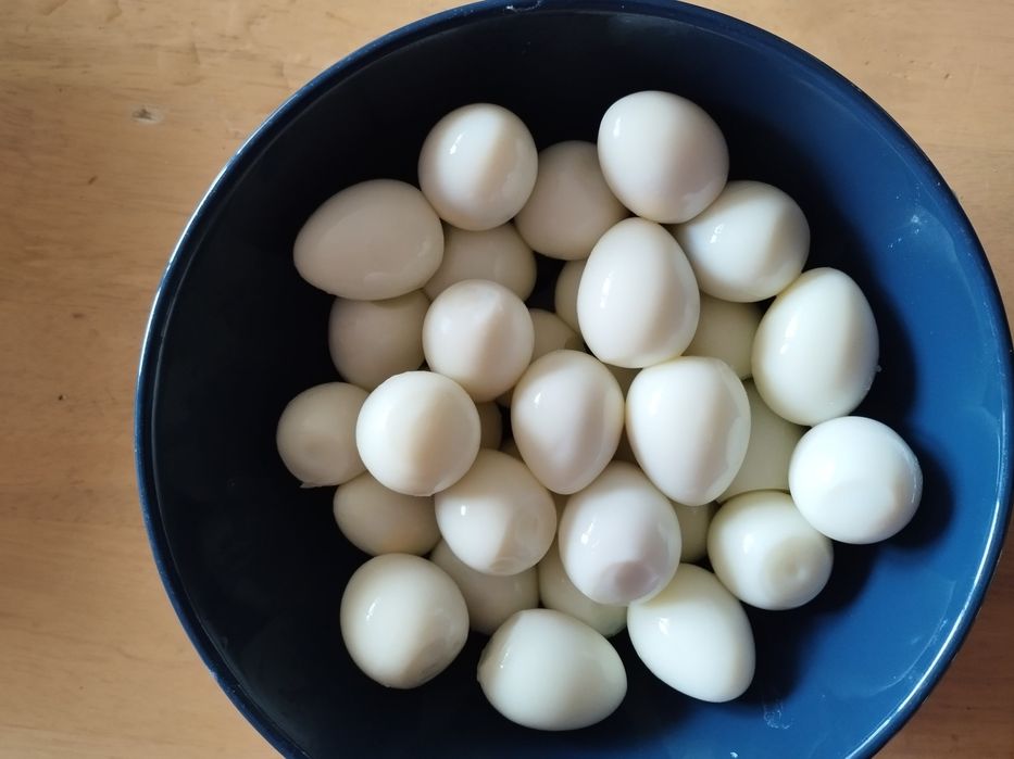 Świeże i zdrowe jaja przepiórcze