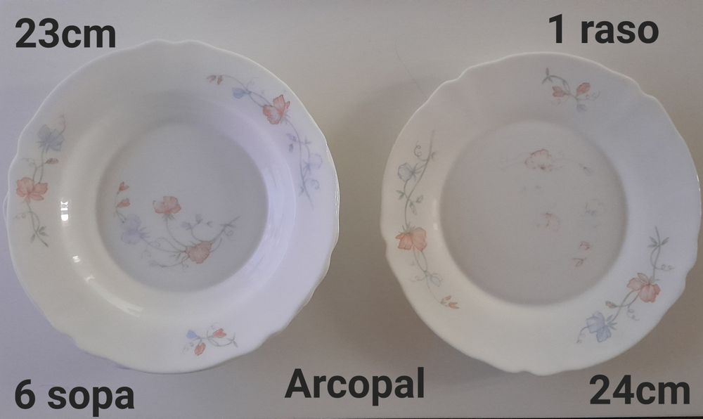 Pratos rasos e sopa variados