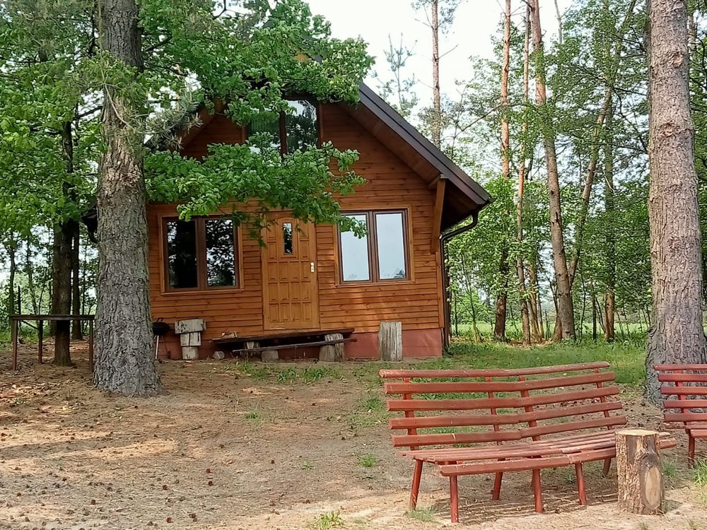 Domek do wynajęcia