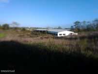 Terreno rustico com cerca de 50.000 m2 em Santarém