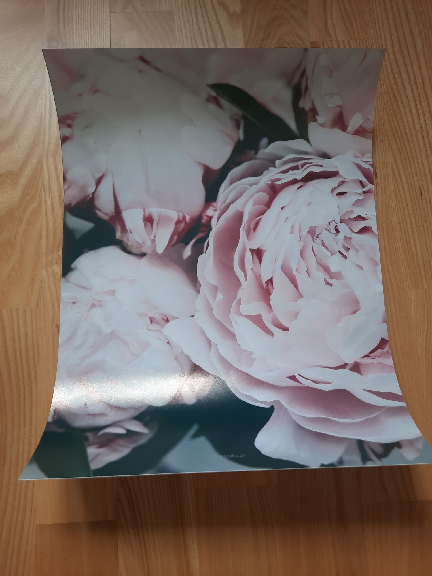 Zestaw plakatów firmy posterilla lub pojedynczo