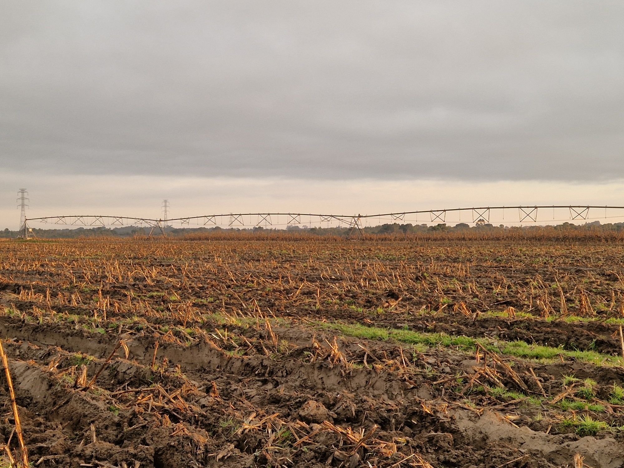 PIVOTS  VAllEY  16h  4 Torres