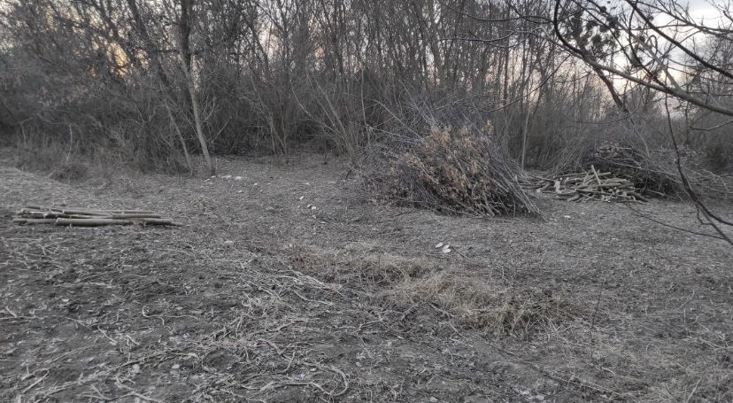 Покос трави ,зрізання кущів , розчистка території