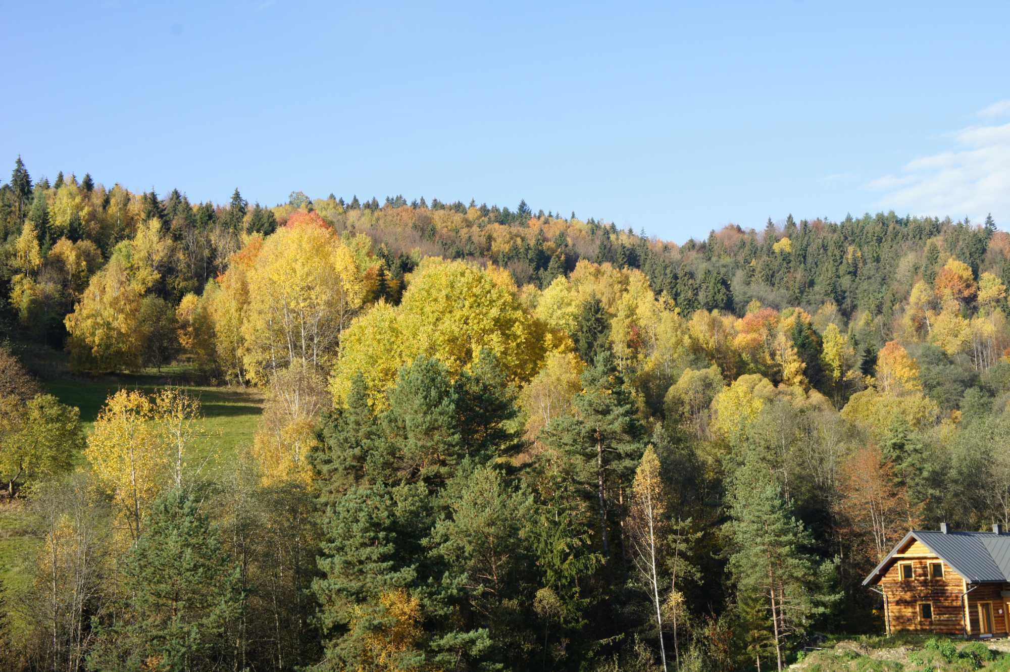 DOM W GÓRACH Pieniny Gorce dla 4-8 osób