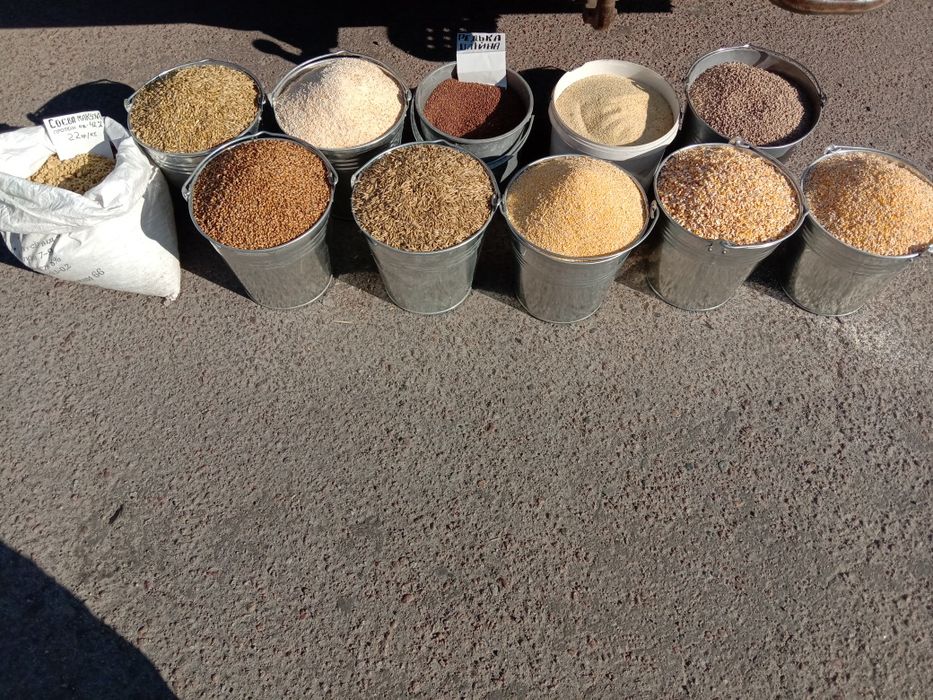 Продам пшеницю, овес, кукурудза, соя, ячмінь, обмішка(дерть)