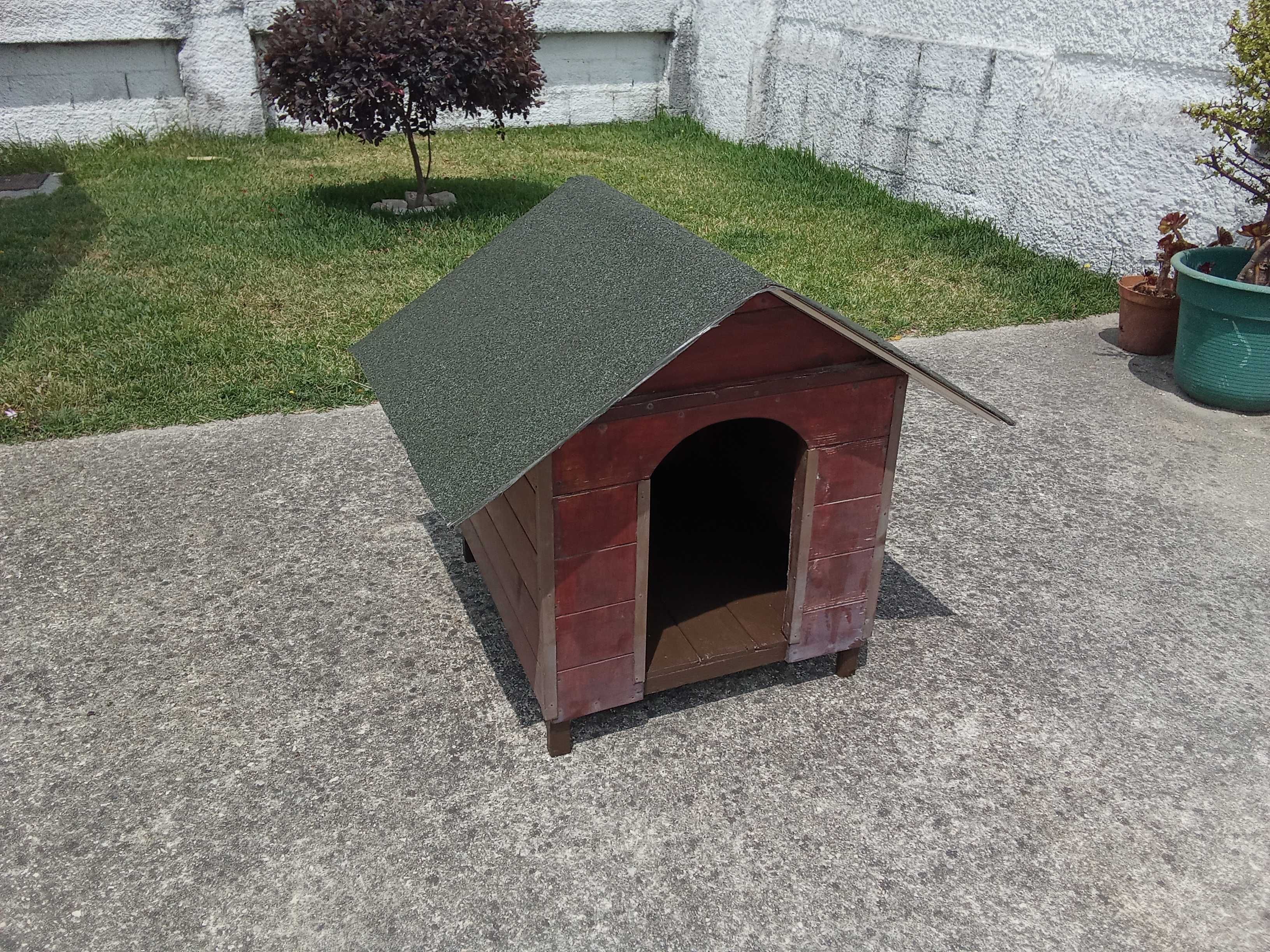 Casota cão porte pequeno