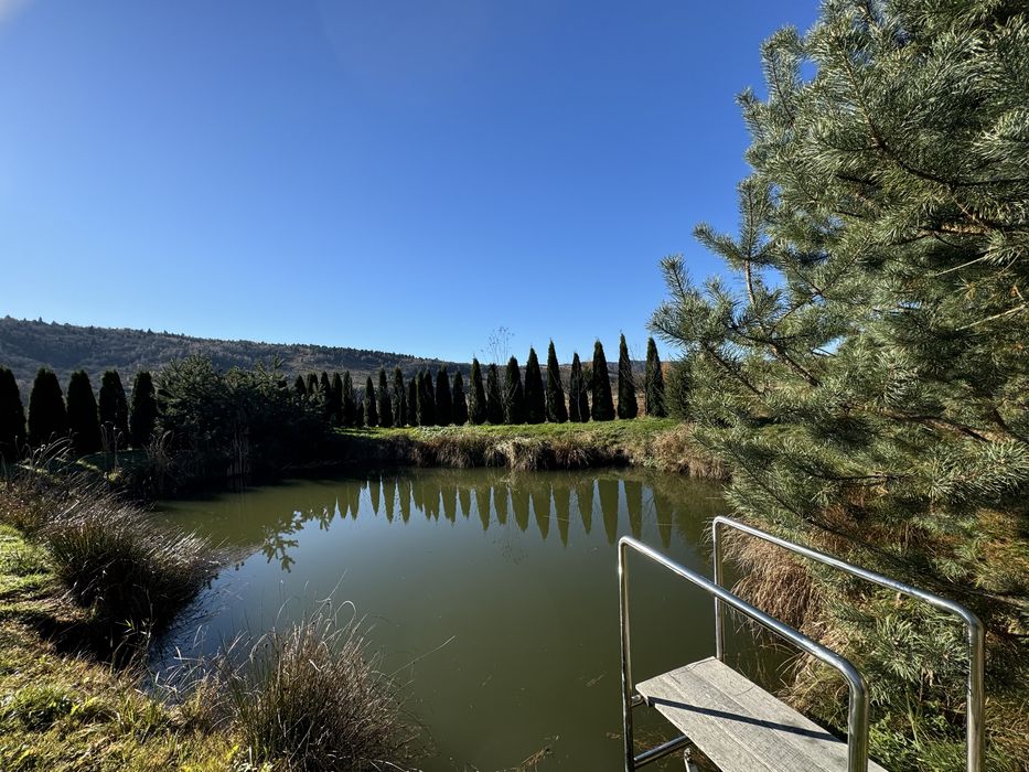 Продам будинок у с. Східниці