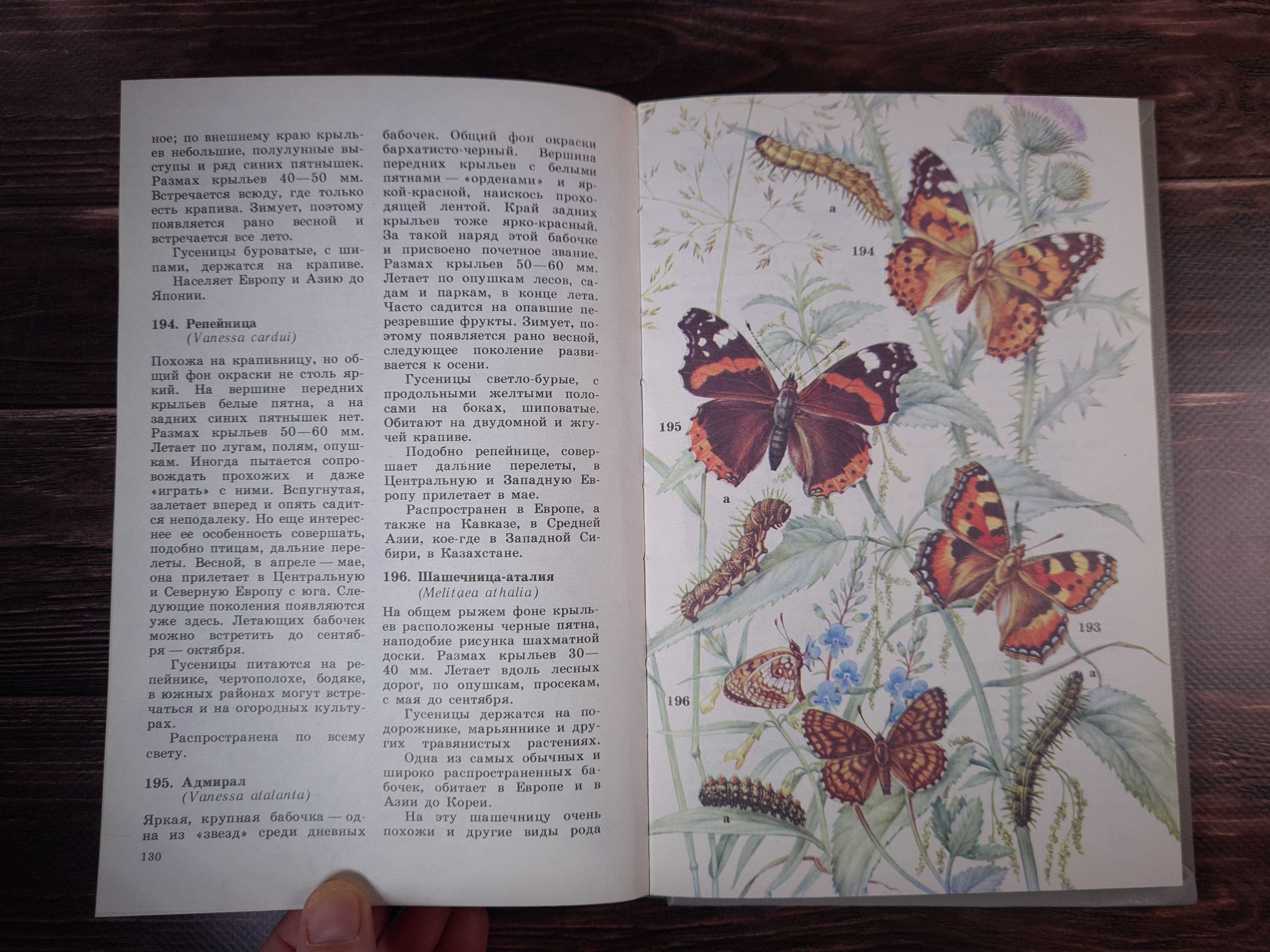 Школьный атлас определитель беспозвоночных, бабочек, жуков
