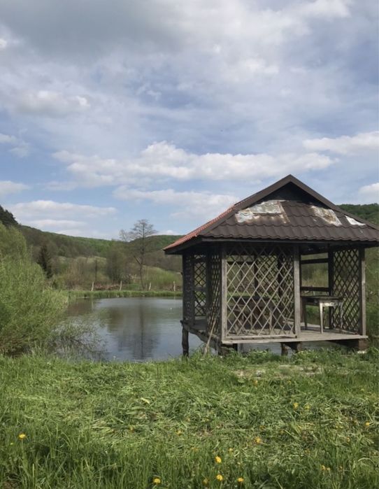 Продам будинок та земельну ділянку (разом з альтанкою та ставом)