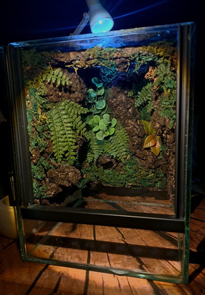 terrarium tropikalne 15x15x20