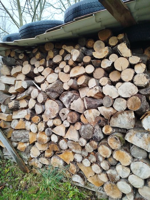 Drewno kominkowe mieszanka liściasta