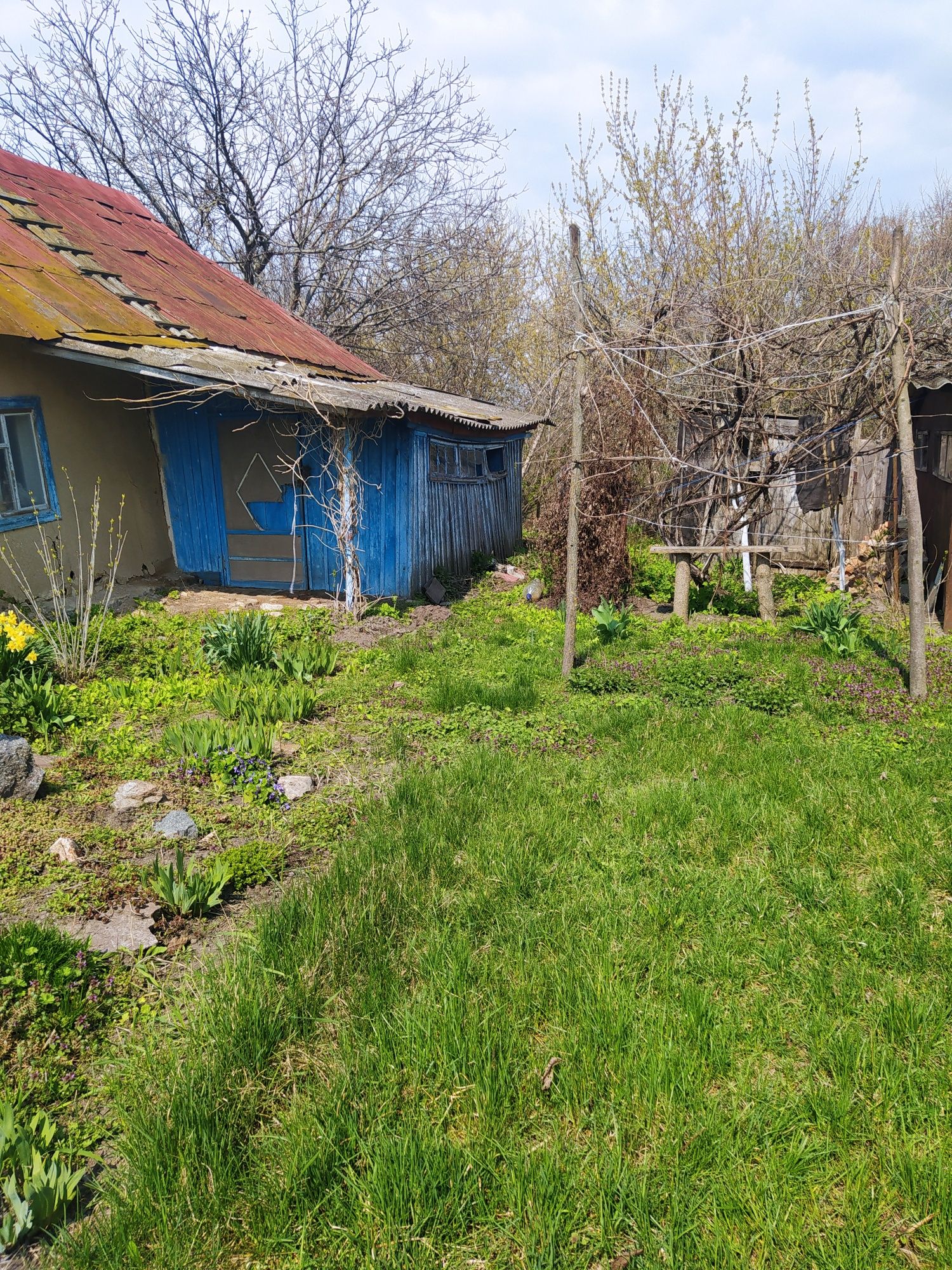 Продаю земельну ділянку із глиняним будиночком