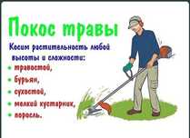 Покос травы,обрезка деревьев