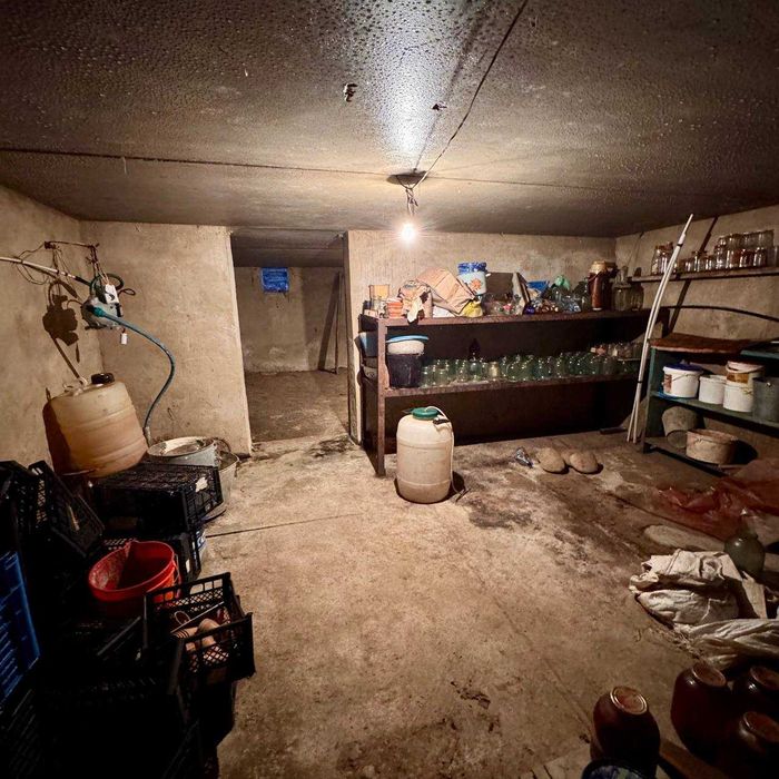 продаж будинку село Нижнів