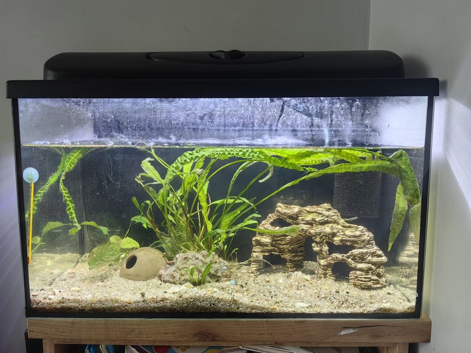 Sprzedam Akwarium 65l