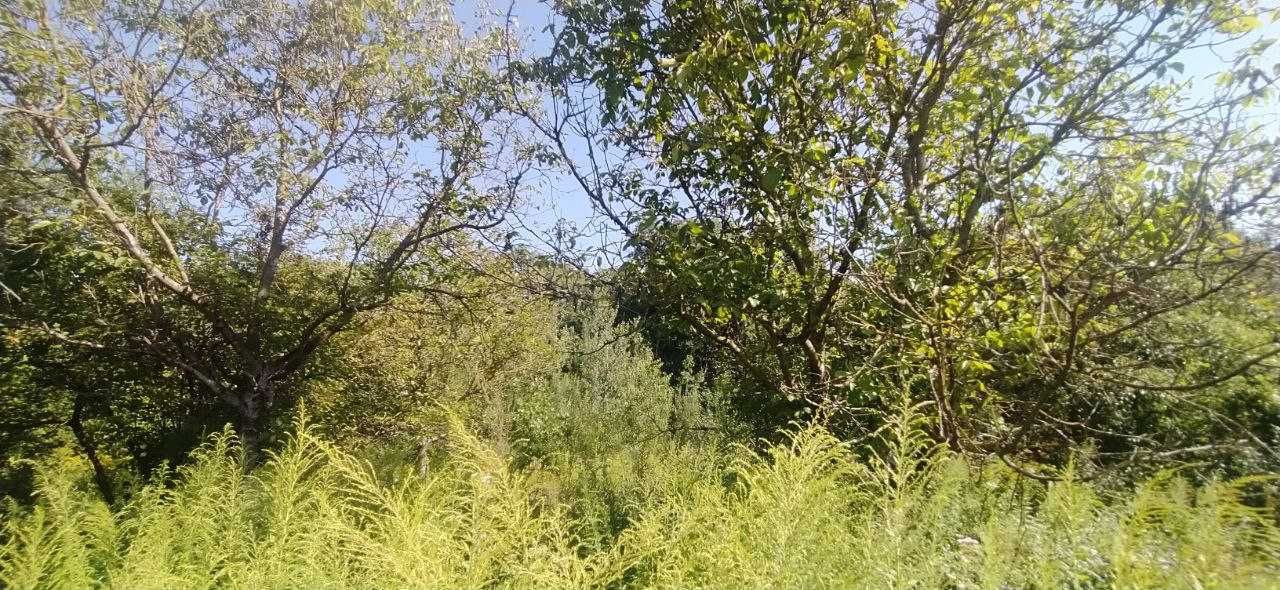 Земельна ділянка в Павлівці, біля колії
