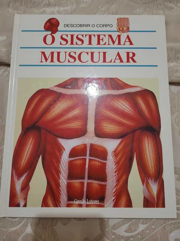 Coleção de livros - Descobrir o corpo