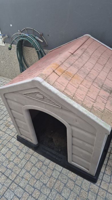 Casota para cão em bom estado