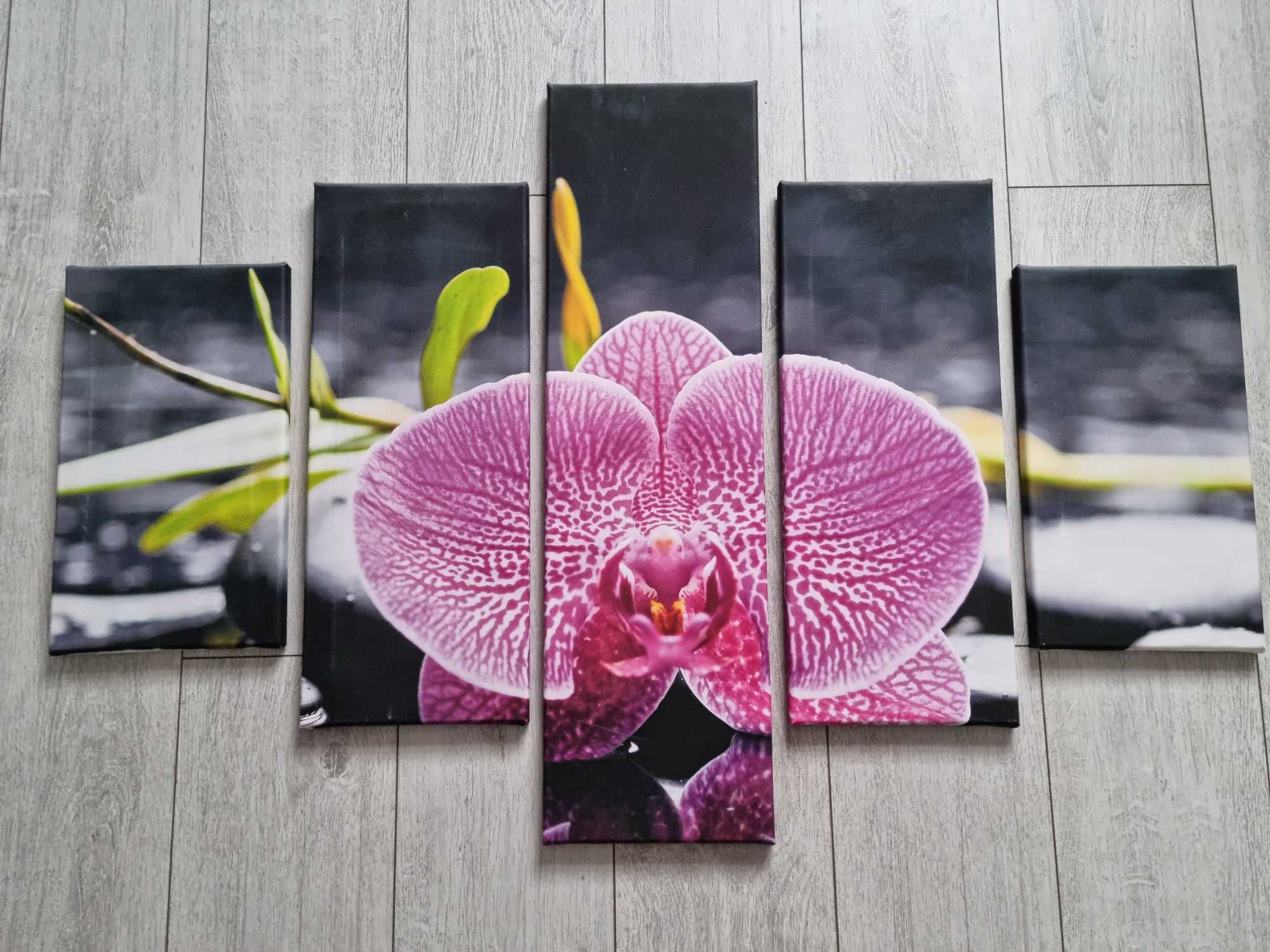 Obraz na płótnie 5 częsci ( orchidea)