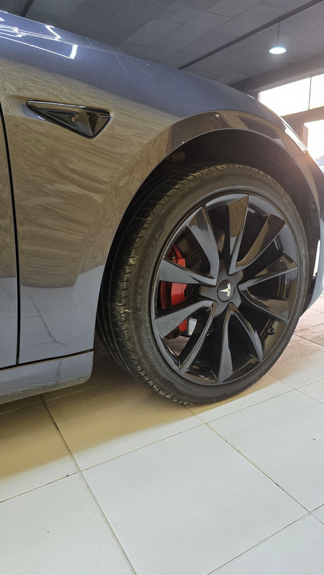 Tesla model 3 Dual Motor 491cv