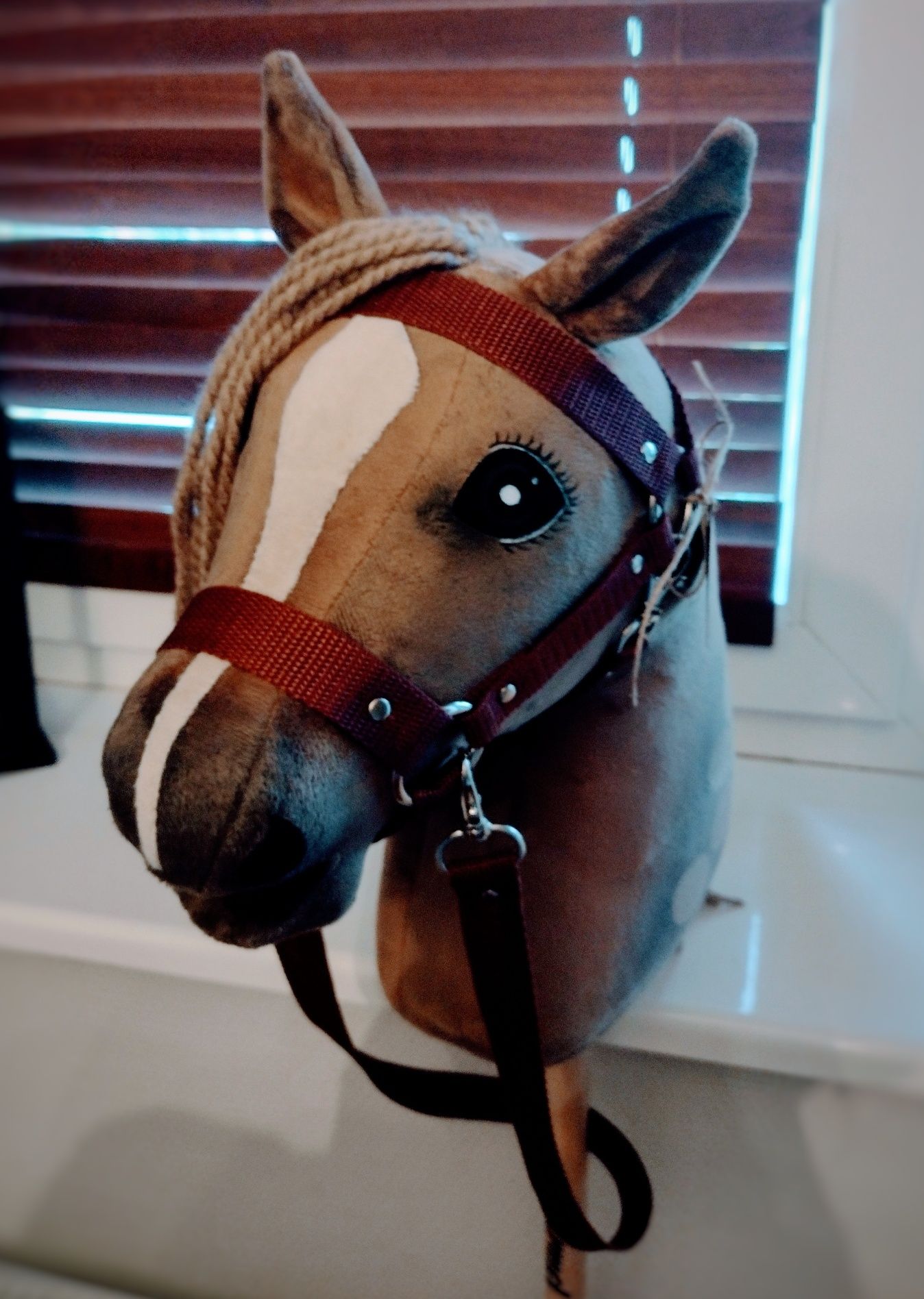 Hobby Horse, koń na kiju
