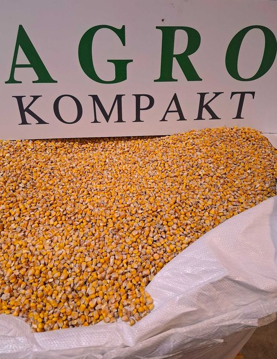 Kukurydza mokra i sucha , zboża paszowe , transport.