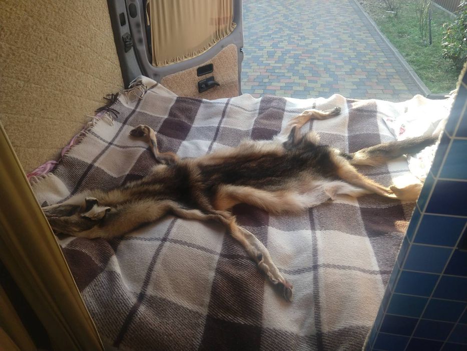 Автодом / кемпер / дом на колесах / Рено мастер максі база Reno Master