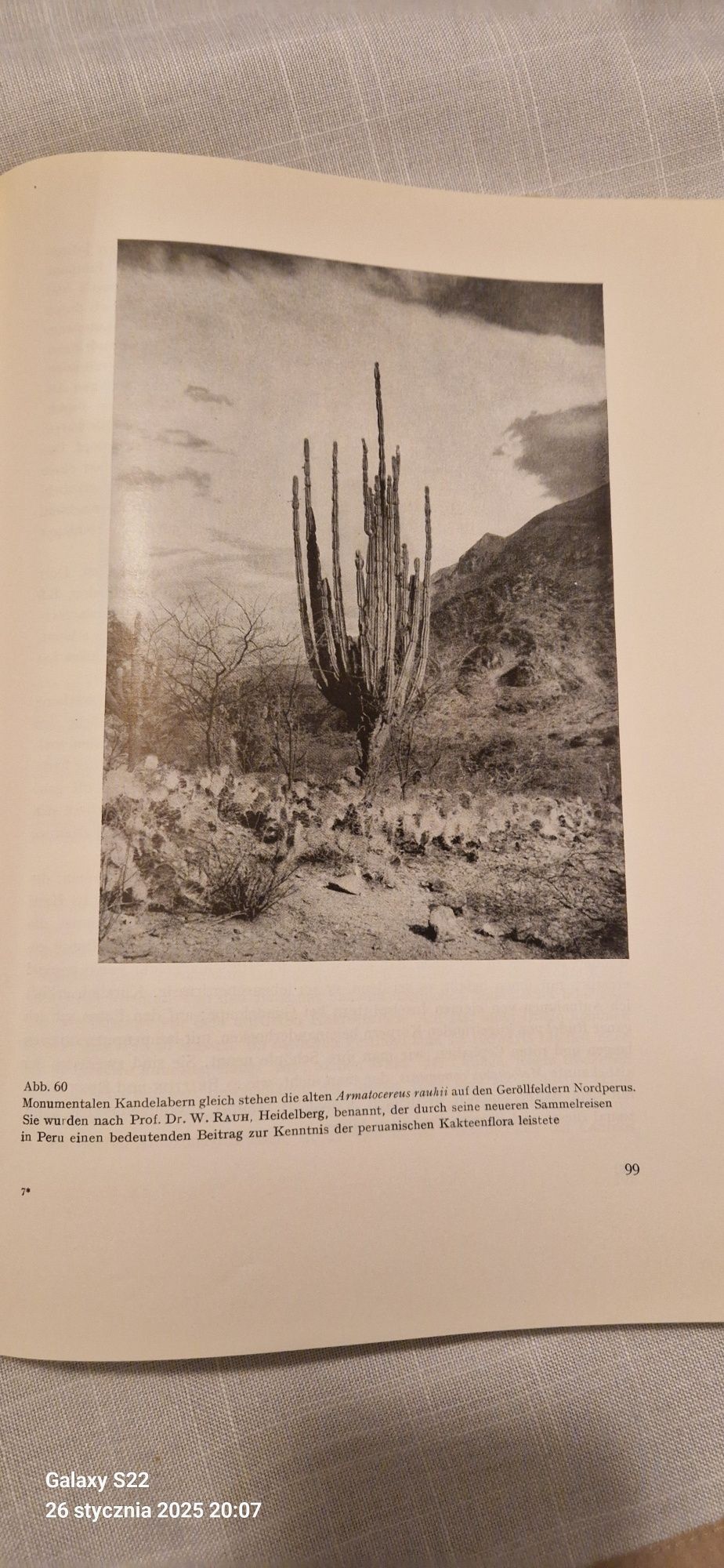 Kaktusy Kaktusy Wunderwelt Kakteen Curt Backeberg