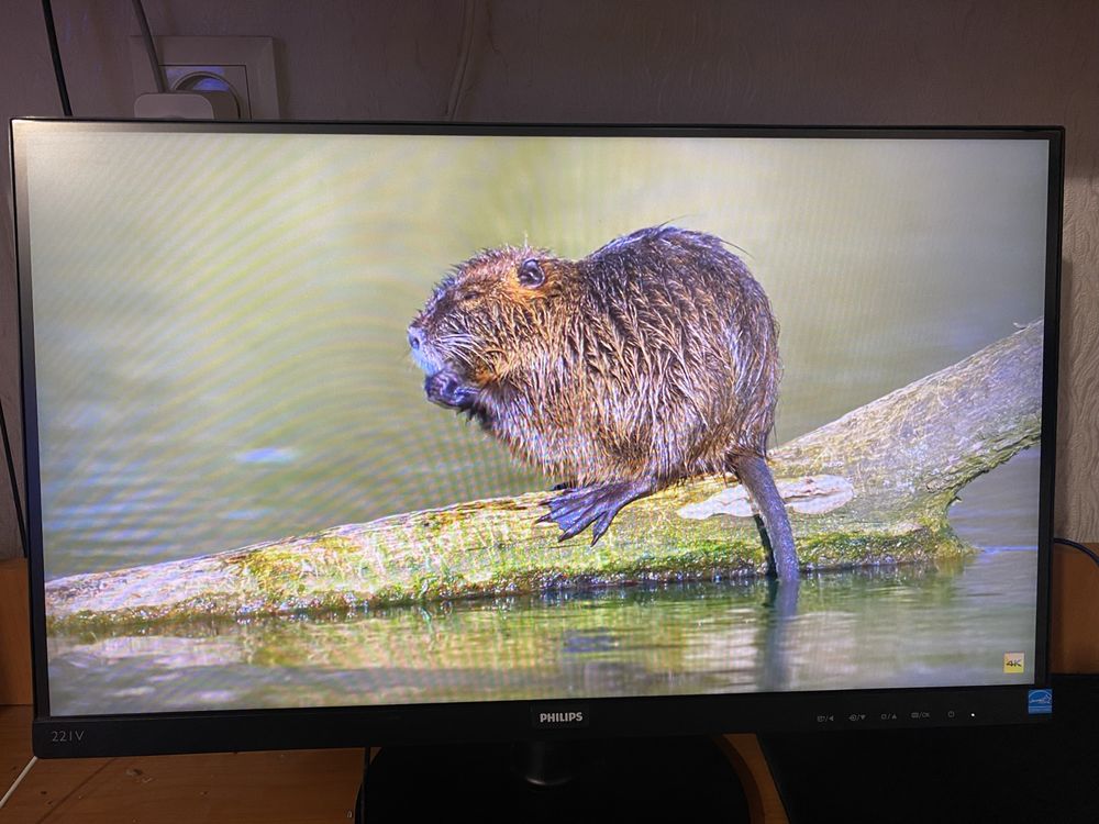 Монитор philips v line 22"