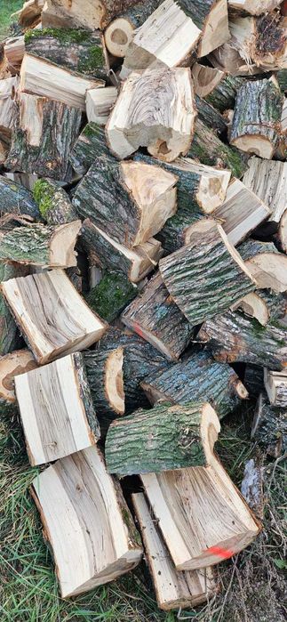 Drewno kominkowe opałowe Wiąz