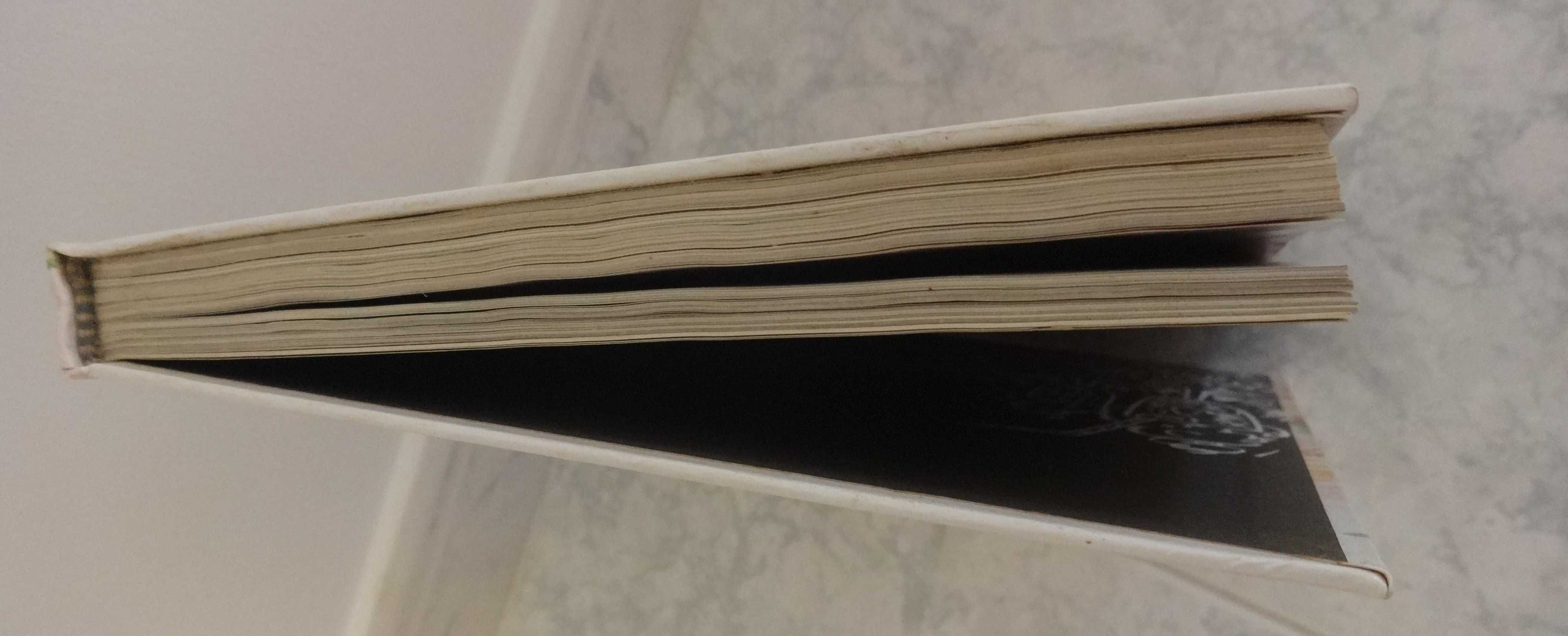 Livro Teleculinária e Doçaria 13º Volume