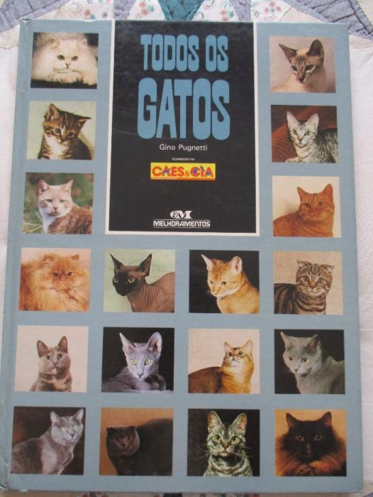 todos os gatos livro