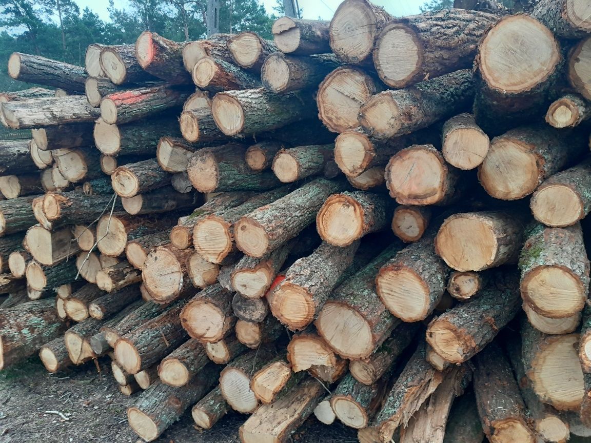 Drewno kominkowe opałowe Grab Dąb osika różne rodzaje